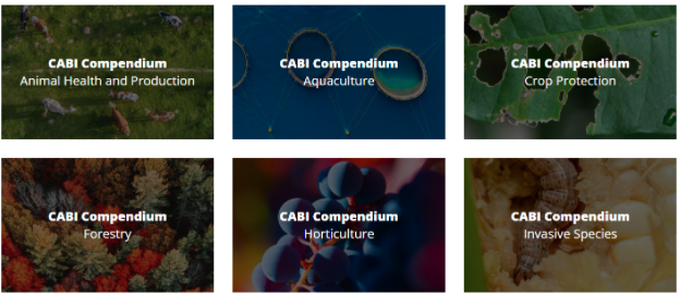 A group of six triangles with three on top and three on bottom. Each triangle contains white type on top line: "CABI Compendium." Each triangle has a blurred colorful pattern as background. Second words on each triangle: top left: "Animal Health and Production;" top middle: "Aquaculture;" top right corner: "Crop Protection;" bottom left corner: "Forestry," bottom middle: "Horticulture;" bottom right corner, "Invasive Species."